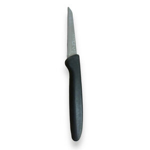 Sabatier 3-1/2” Stainless Paring Knife, Made in France